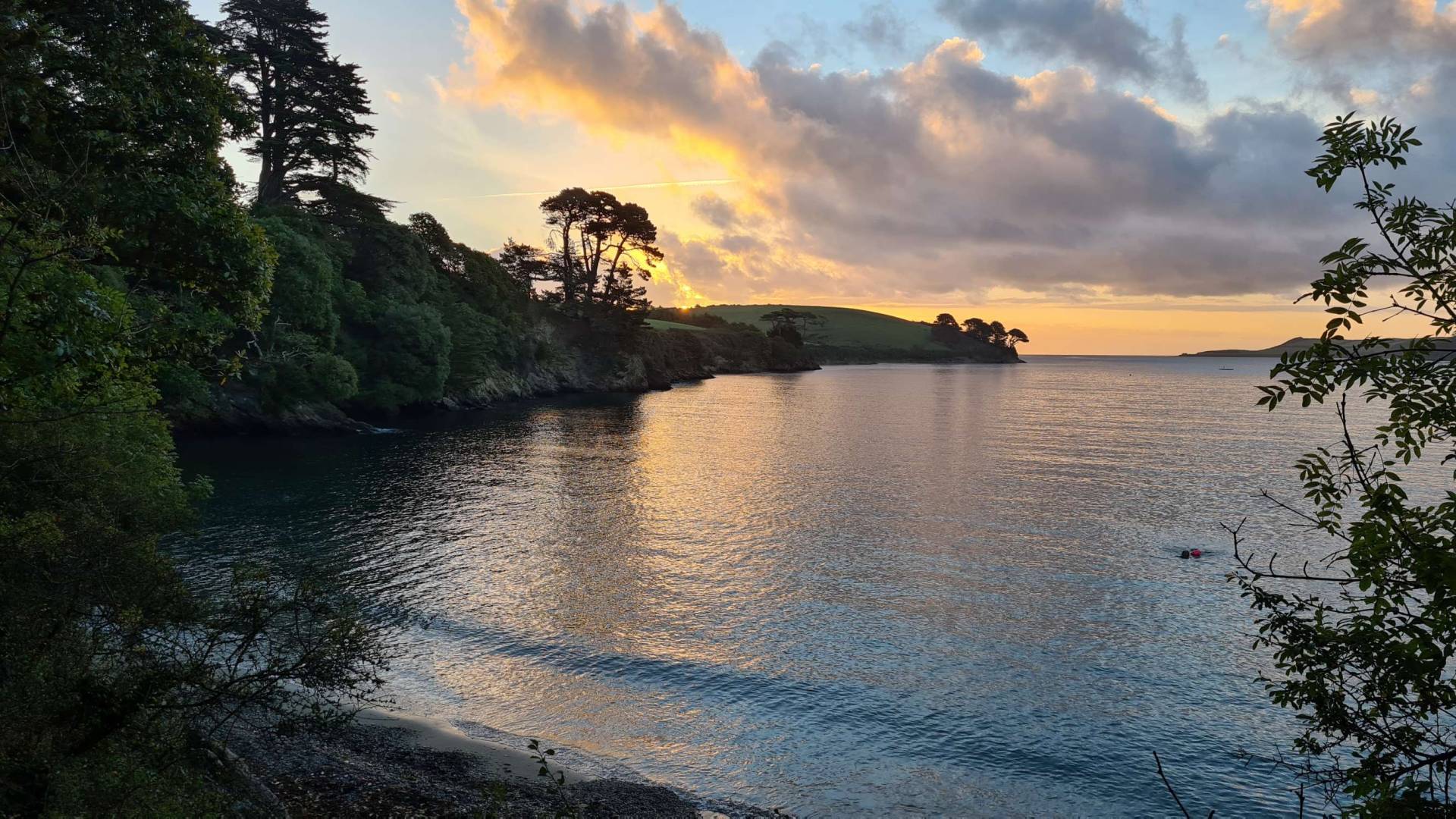 When I paint my spirit is let loose... - 