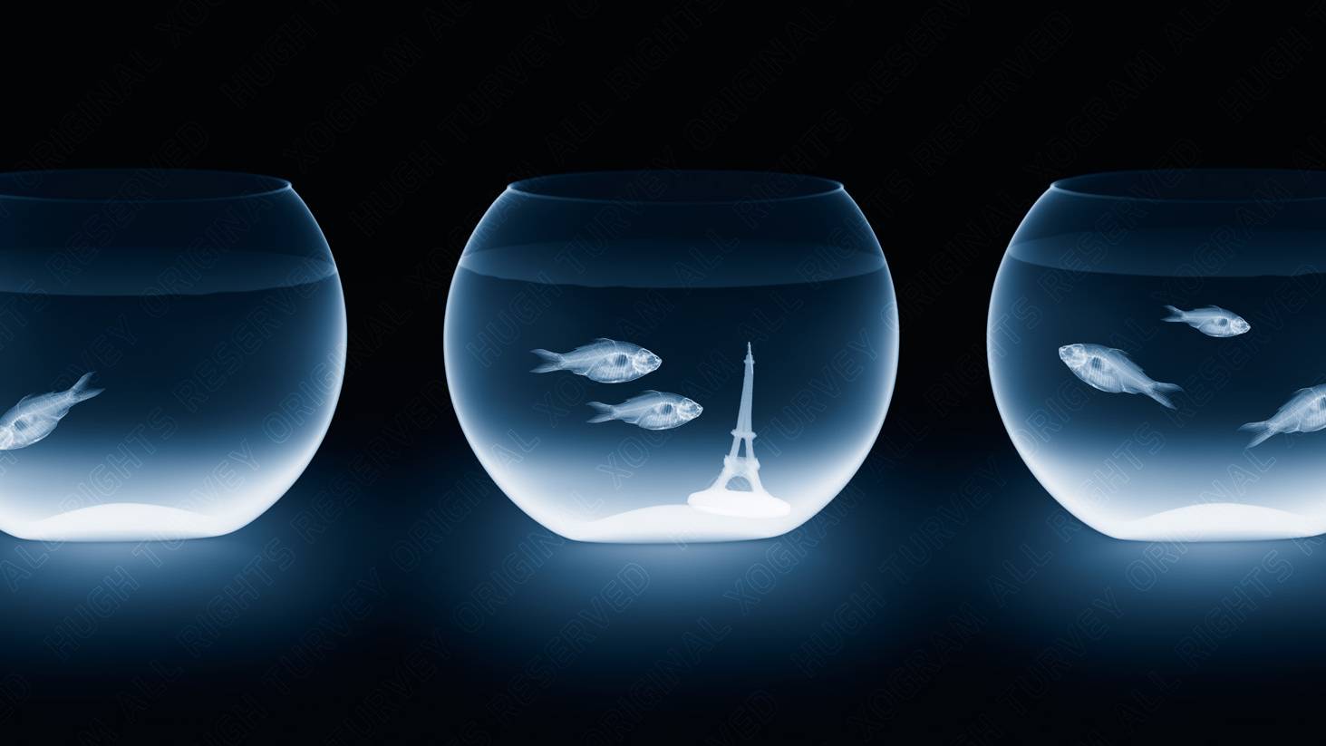 HUGH TURVEY ASIS HonFRPS - 