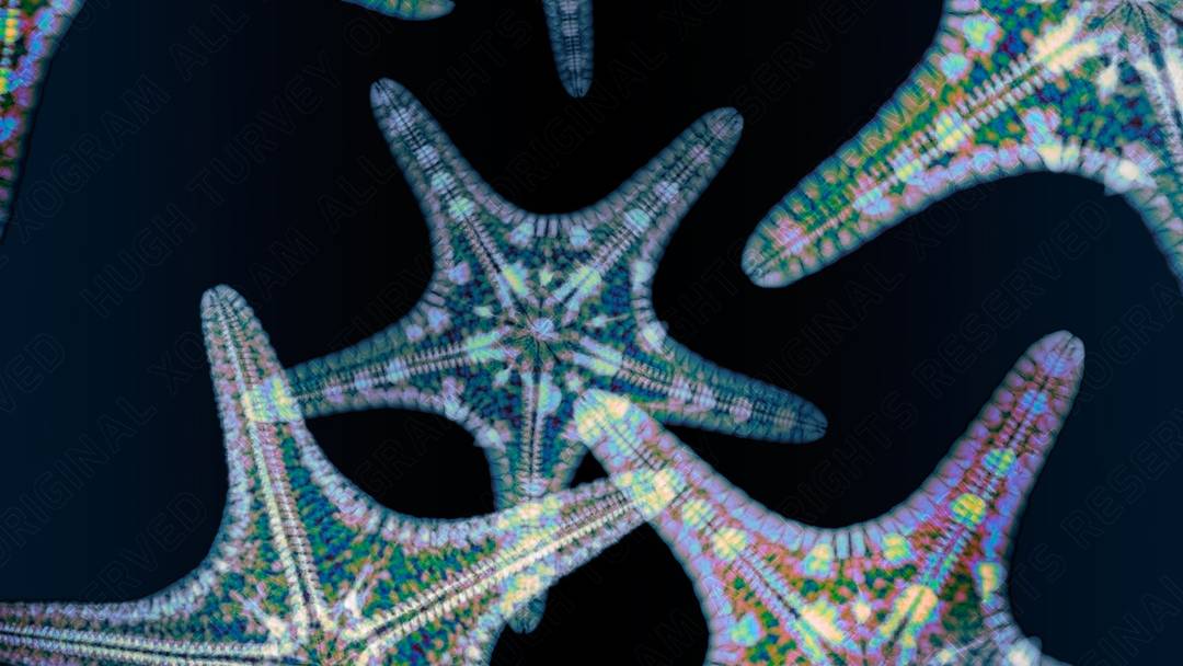 HUGH TURVEY ASIS HonFRPS - 