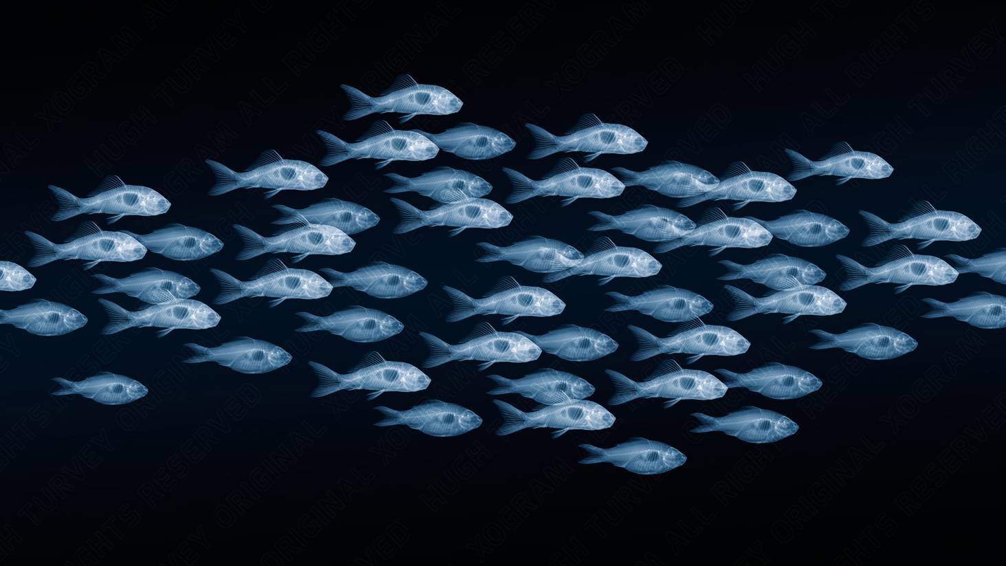 HUGH TURVEY ASIS HonFRPS - 