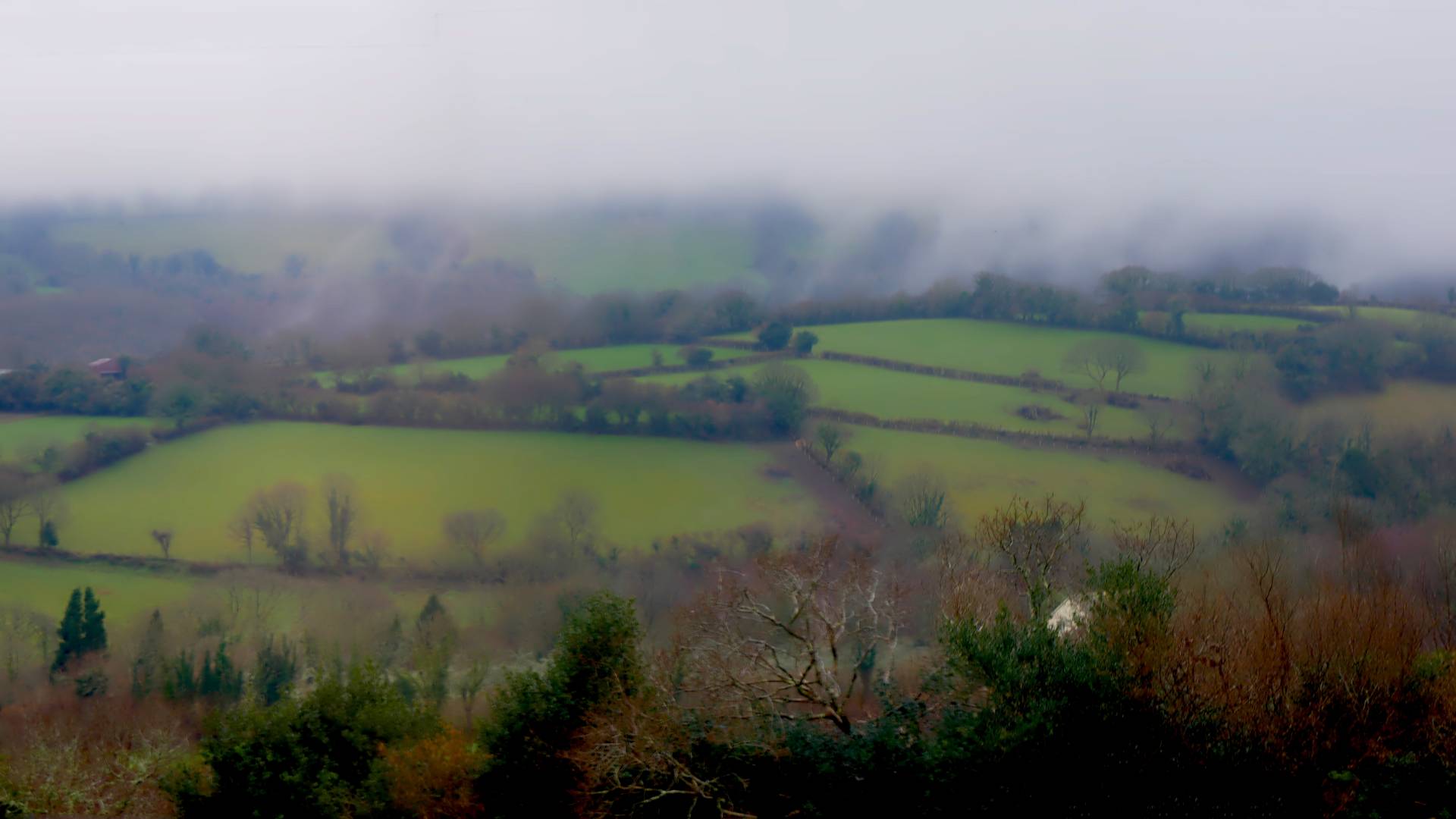 My View of Dartmoor - 