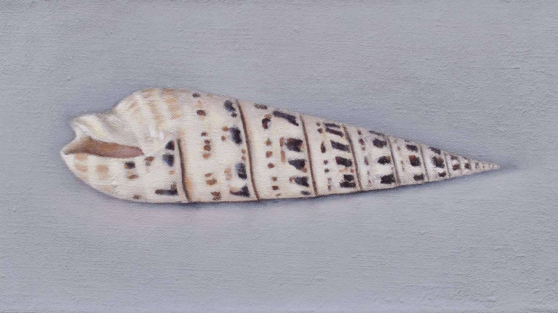 No title - home splash - 