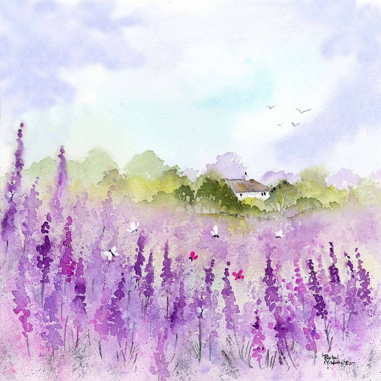 Butterfly Meadow Rachel McNaughton