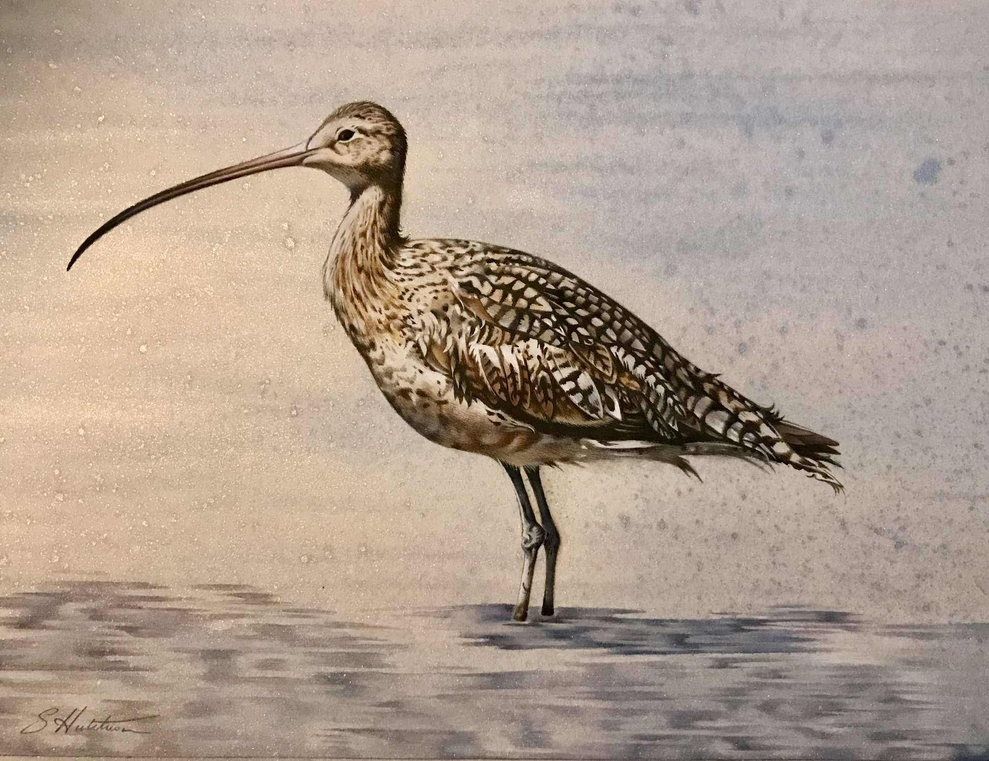‘Curlew’ - Susan Hutchison