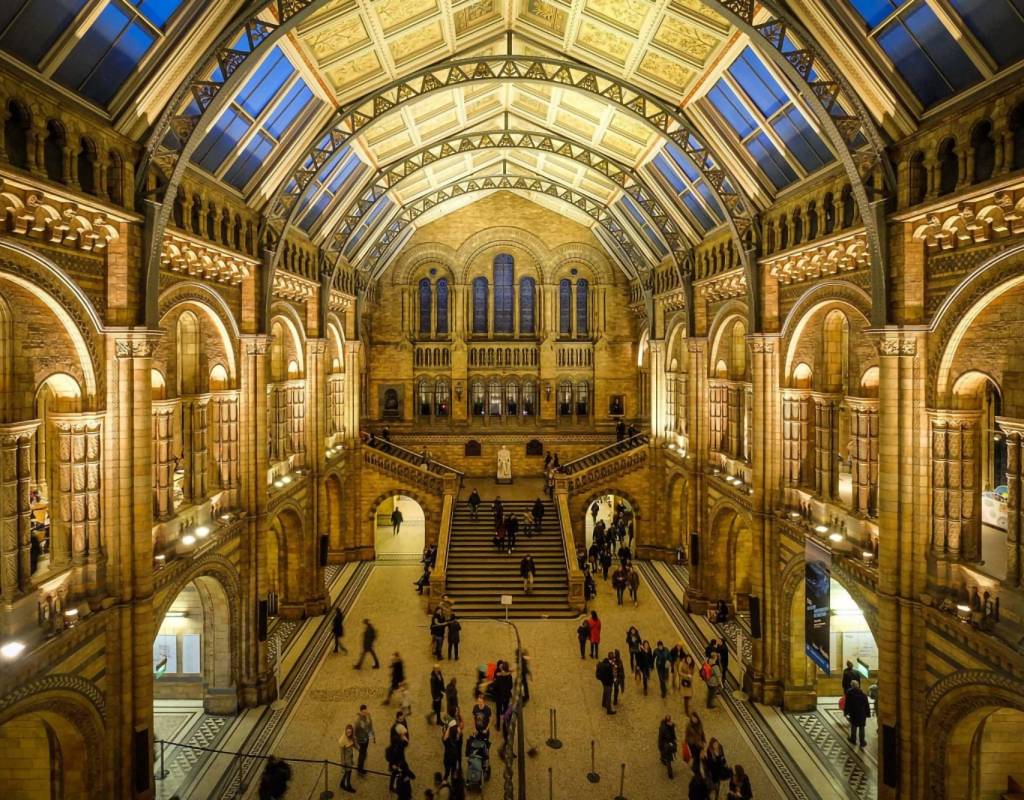 Courses Workshops and Events - 