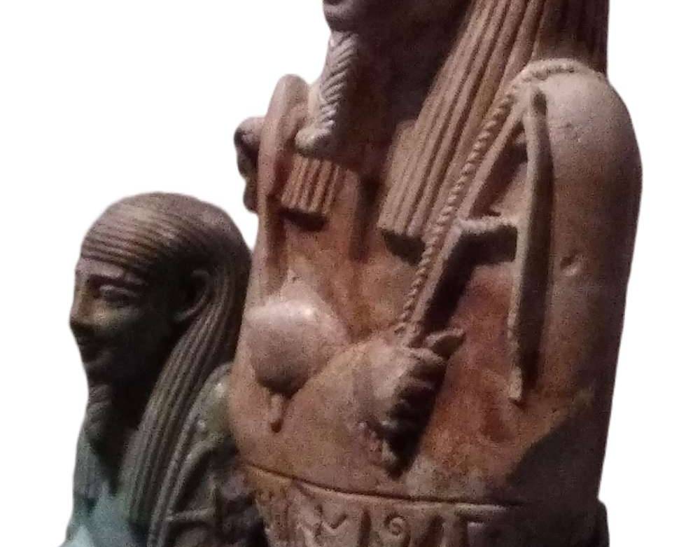 Terms and Conditions - 