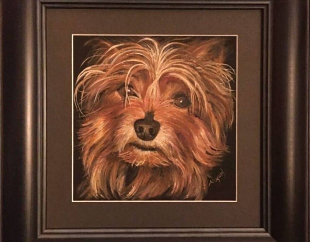 Pet Portraits - 