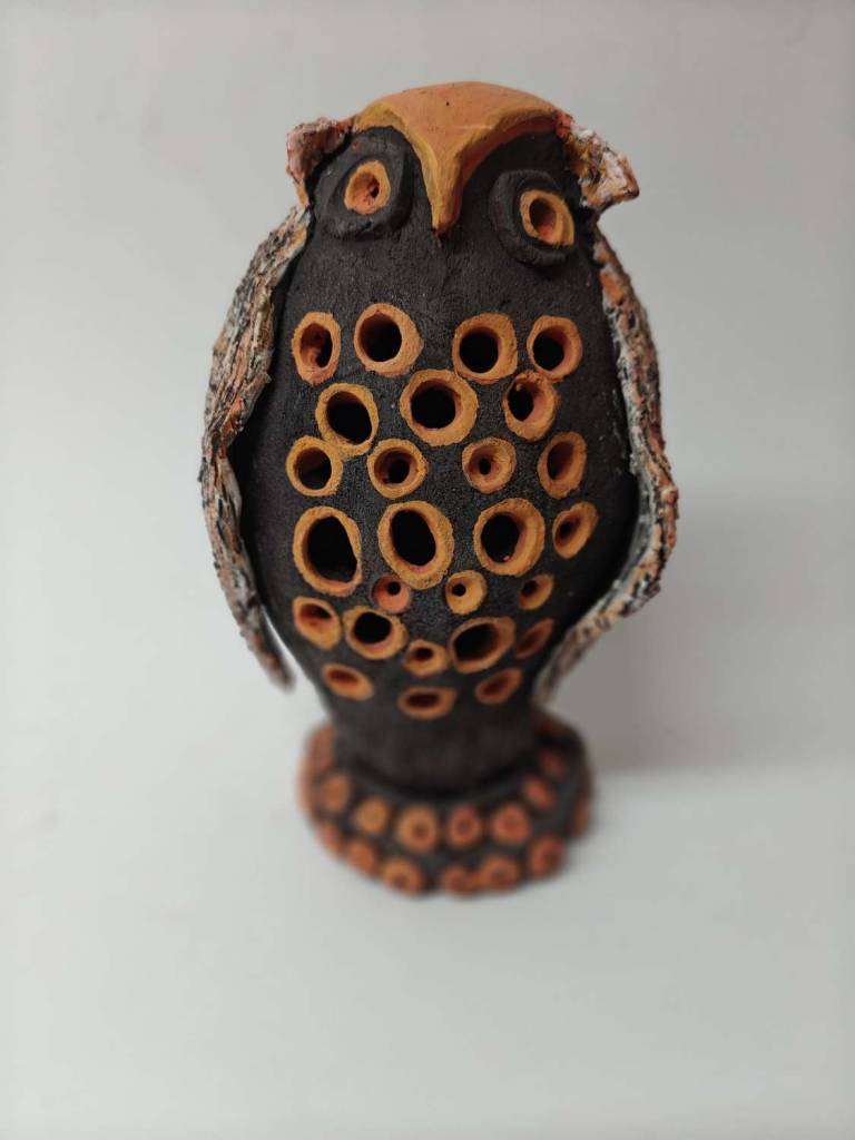 Owl - Morag MacInnes