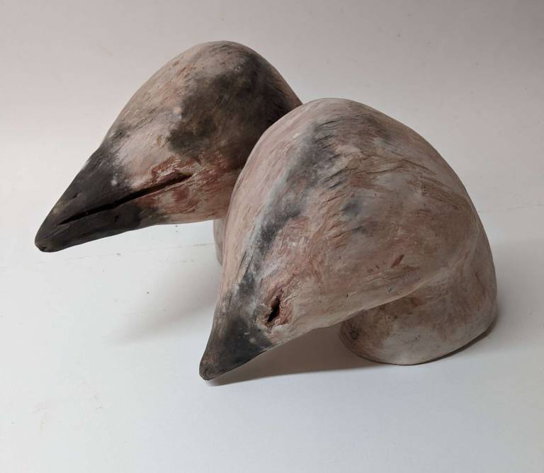 Bird Heads - Morag MacInnes