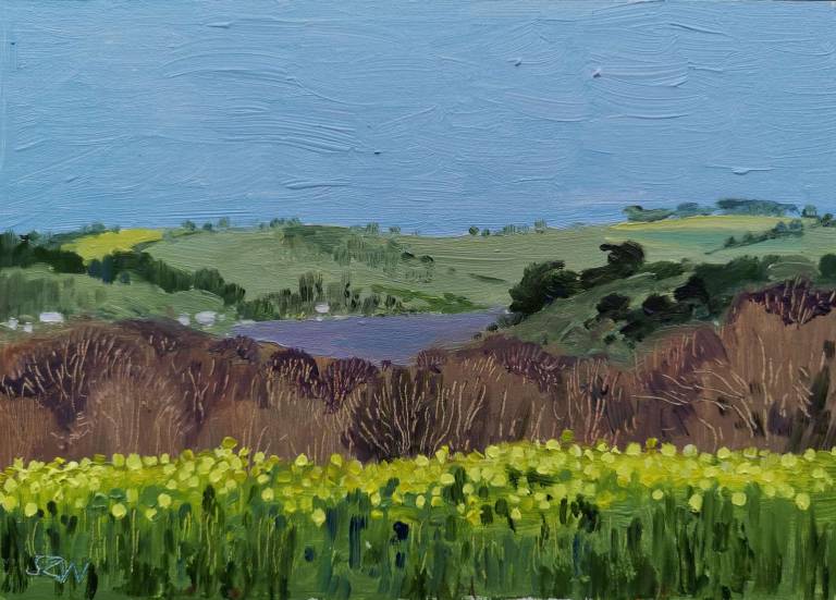 A Year of Daily Paintings by Month - 