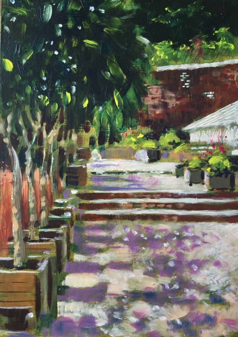 Bay Trees at Heligan - Sarah Wimperis