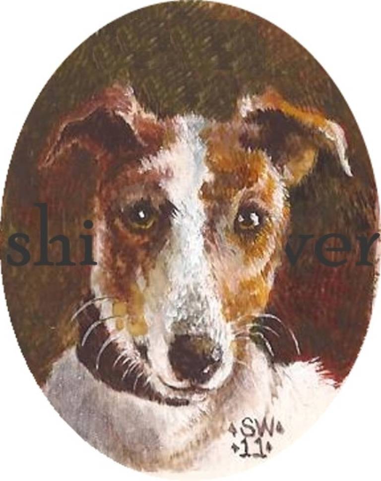 Miniature Dog Portrait - Sarah Wimperis