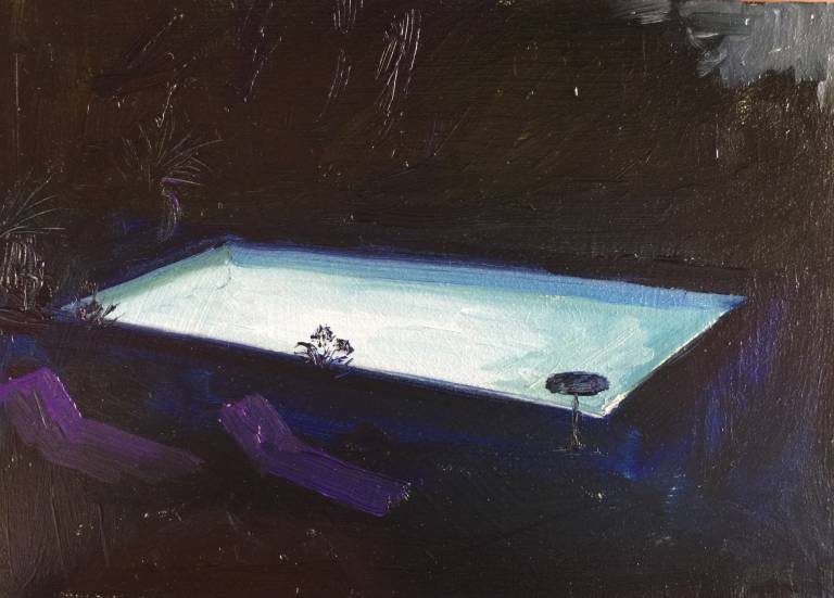 Night Swimming - Sarah Wimperis