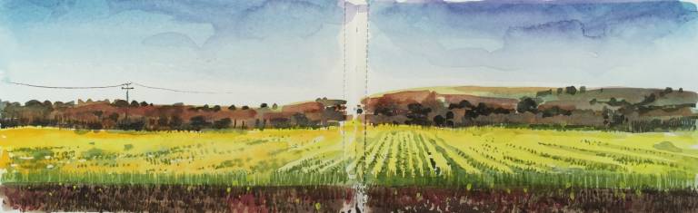 A Cornish Spring sketchbook - Sarah Wimperis