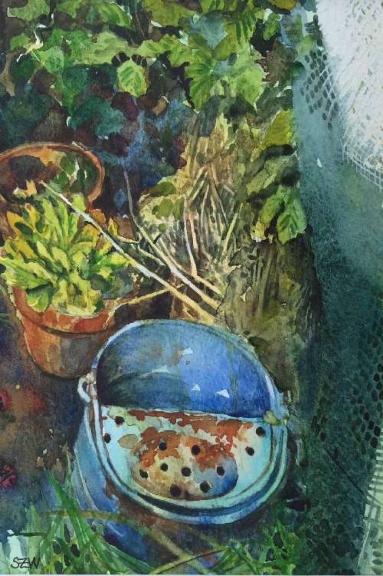 Corner of the Garden - Sarah Wimperis