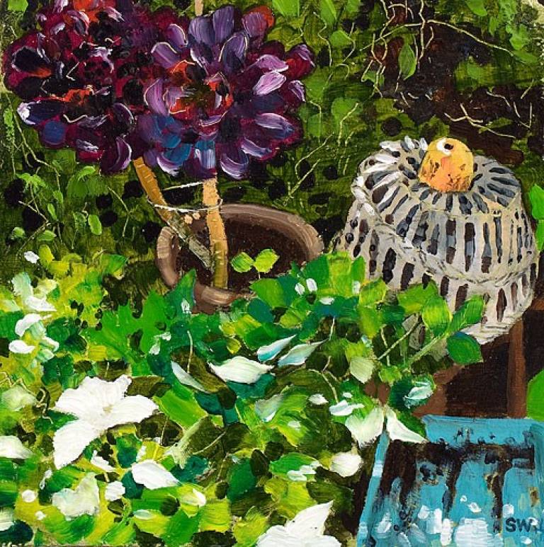 Seed tray - Sarah Wimperis