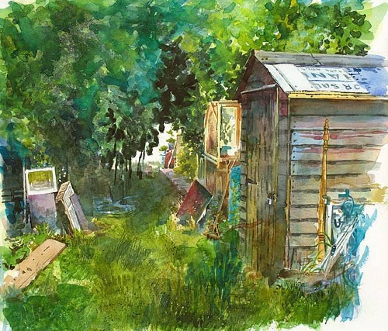 Allotment shed - Sarah Wimperis