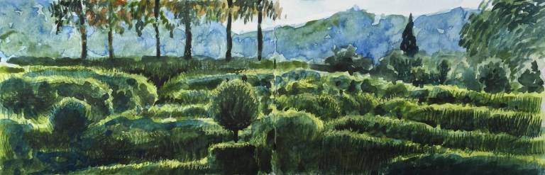 A Garden Sketchbook - Sarah Wimperis