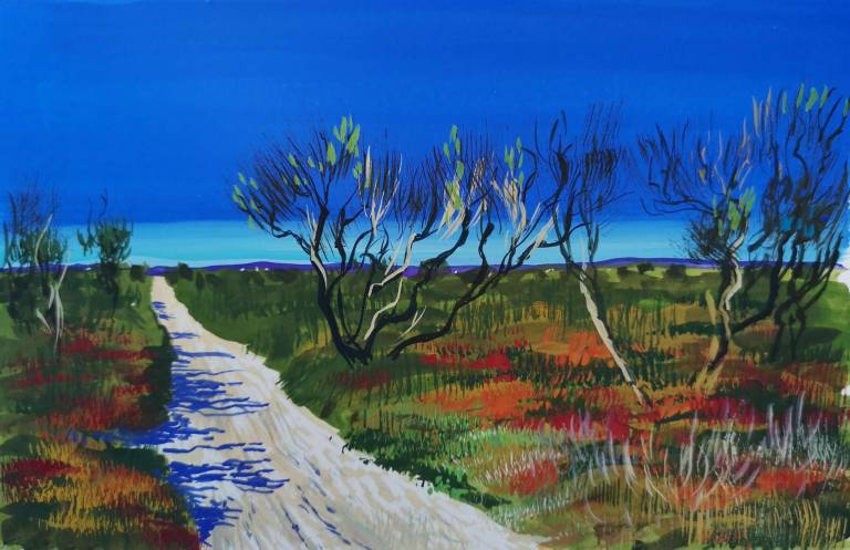 Hot Path and Salt Ceaders - Sarah Wimperis