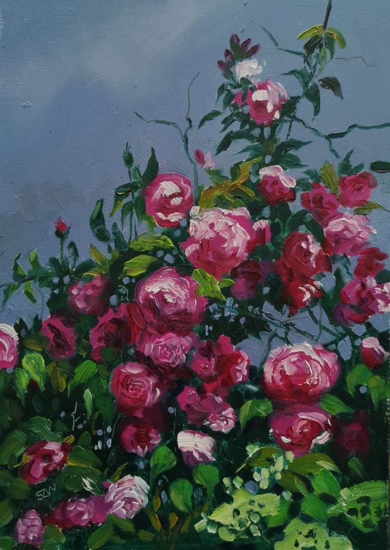 Rose against a Rain Sky 7th June 2020 - Sarah Wimperis