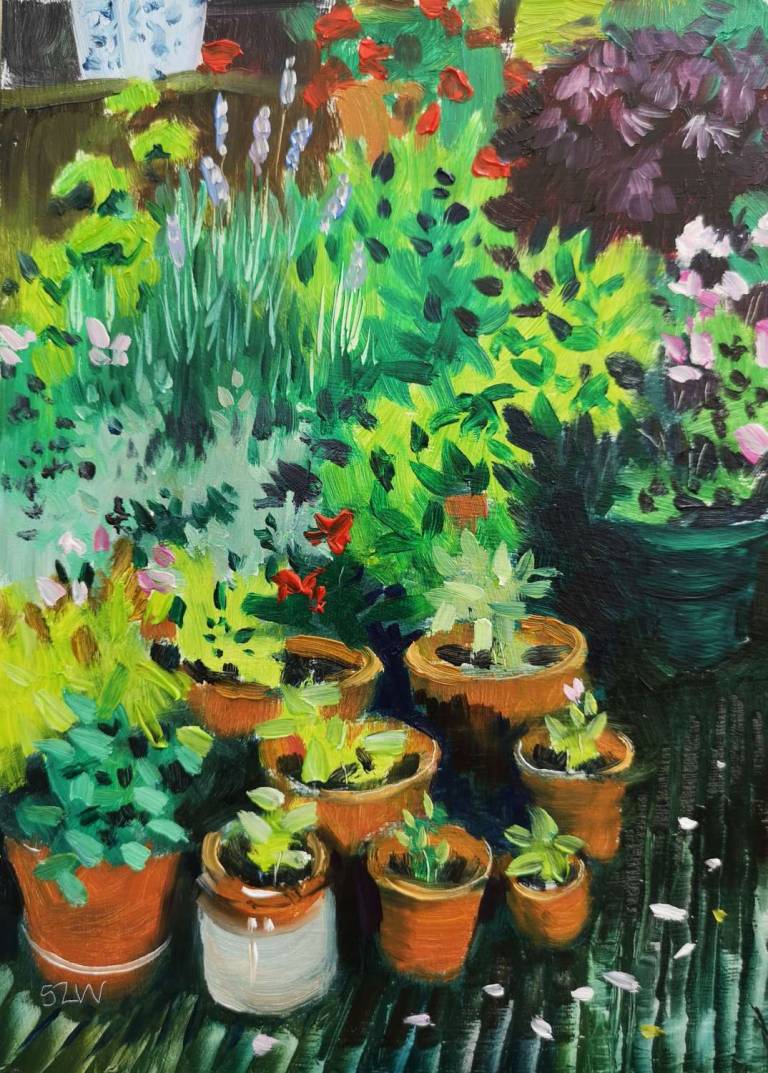 Pots and Petals  - Sarah Wimperis