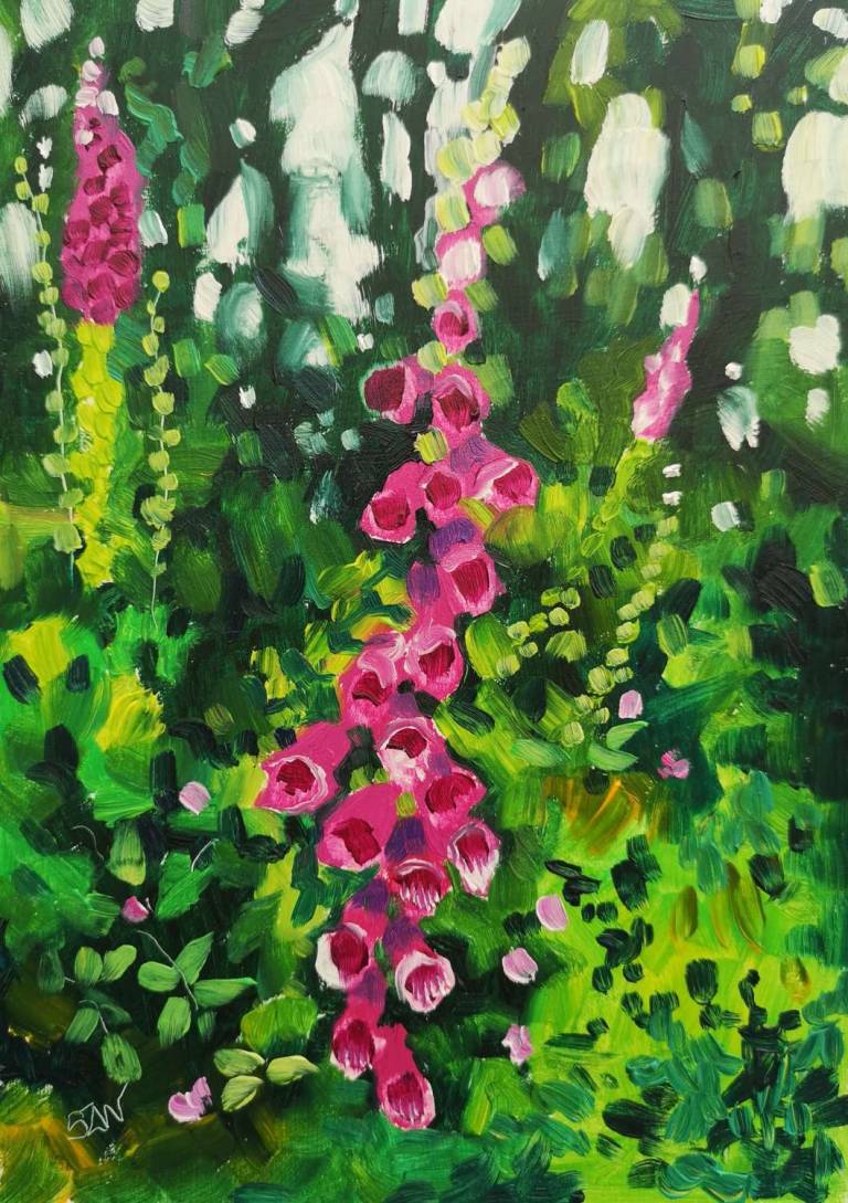 Foxgloves 13th June 2020 - Sarah Wimperis