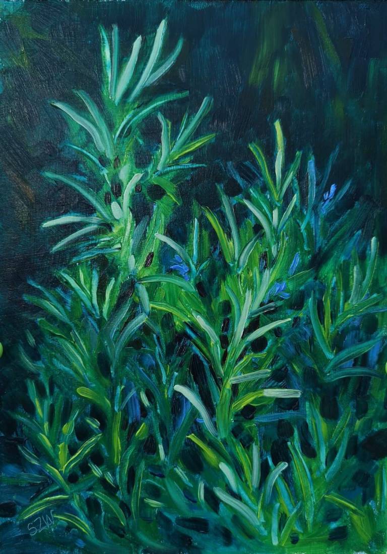 Rosemary for Remembrance 24th June 2020  - Sarah Wimperis