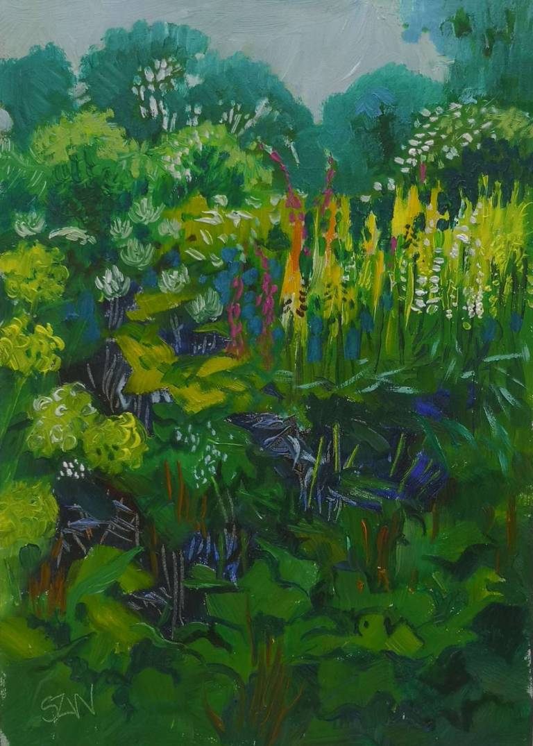 Summer Garden 18th June 2021 - Sarah Wimperis