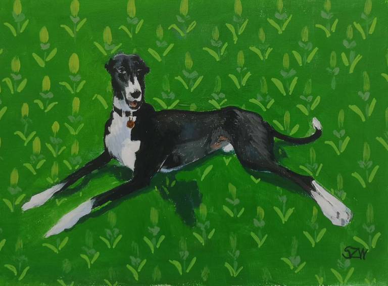 Cody - Sarah Wimperis