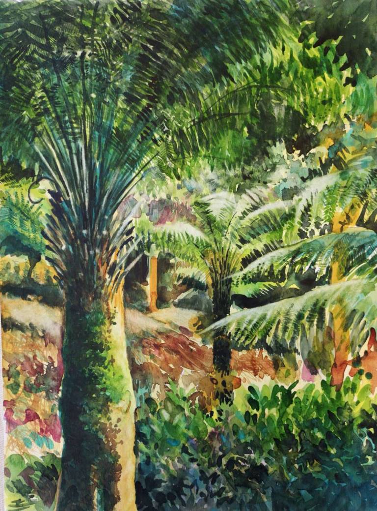 Tree Ferns - Sarah Wimperis