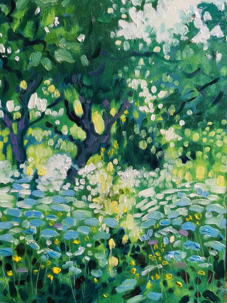 Cool and Shady 24th June 2022 - Sarah Wimperis