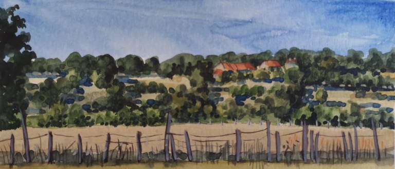 Evening View - Sarah Wimperis