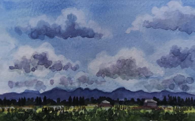 Driving to Provence II - Sarah Wimperis