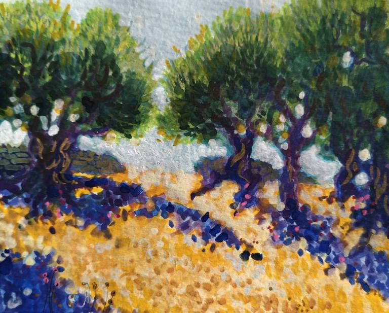 Olive Grove - Sarah Wimperis