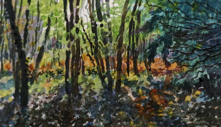 A Walk in the Woods - Sarah Wimperis