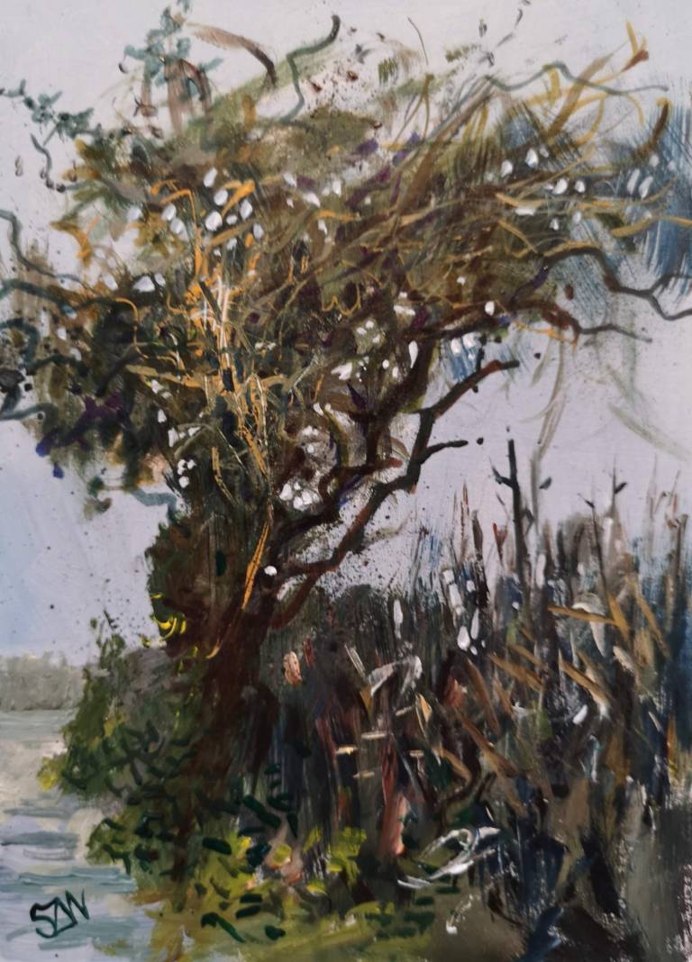 Winter Tree - Sarah Wimperis