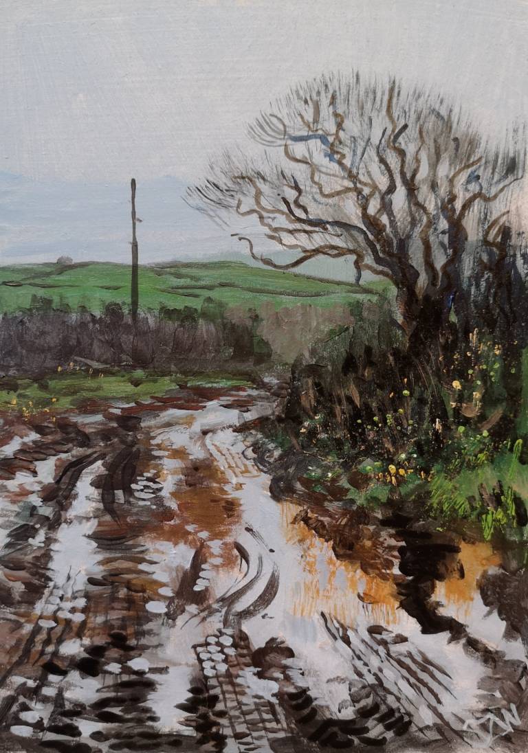 Winter Field - Sarah Wimperis