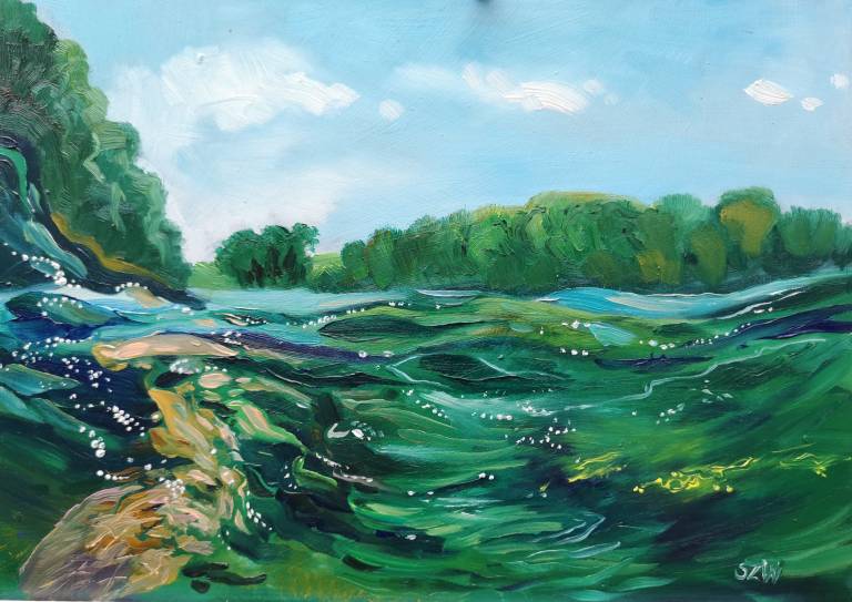 Green Swimmer - Sarah Wimperis