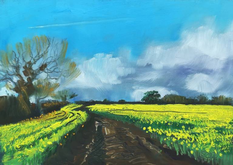 February Fields - Sarah Wimperis