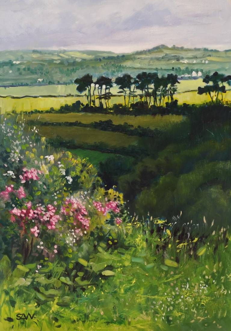 Summer, Helford Pines - Sarah Wimperis