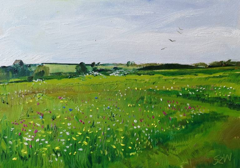 Summer, Wildflowers at Kestle Barton - Sarah Wimperis