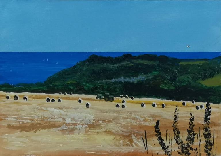 Summer, Buzzard above the Bales - Sarah Wimperis