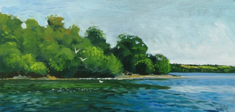 Polwheveral Creek towards Frenchmans - Sarah Wimperis