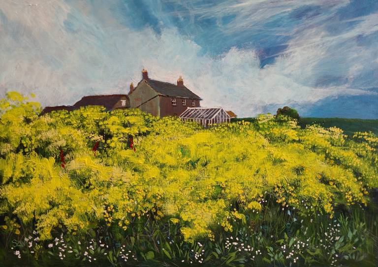 Sea Radish, St Martins. - Sarah Wimperis