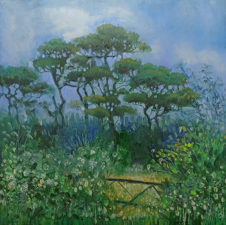 Misty Pines - Sarah Wimperis