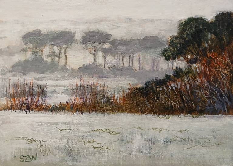 Helford Pines, in the Mist. - Sarah Wimperis