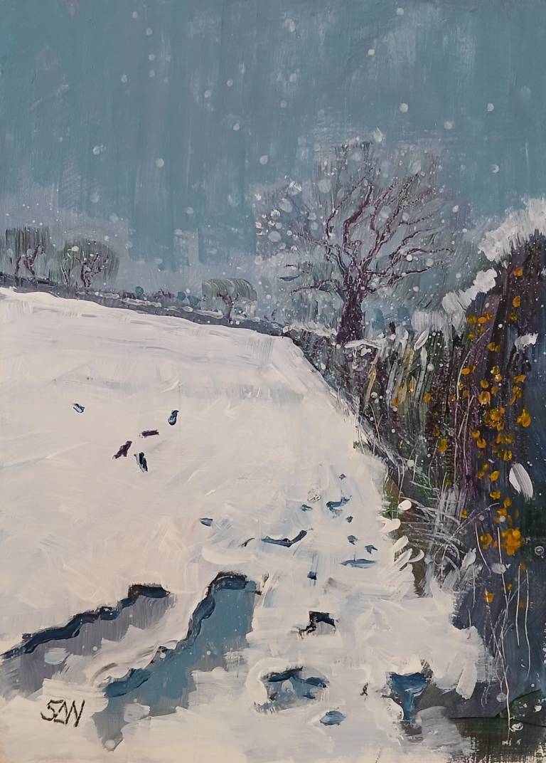 Snow, Crows and Gorse - Sarah Wimperis