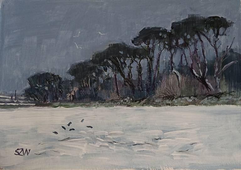 The Trees in Winter - Sarah Wimperis