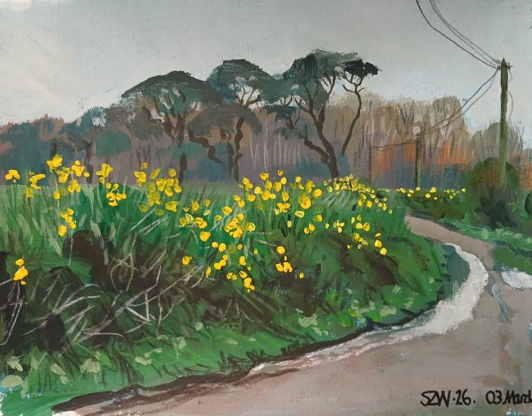 03.03.26 - Sarah Wimperis