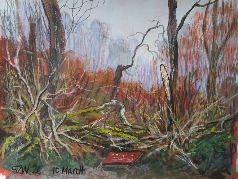 10.03.26 - Sarah Wimperis